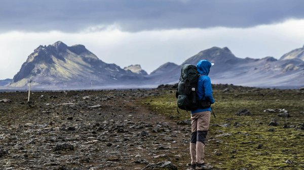 Discover the Best Vegan Eateries in Bristol: A Guide to Top-Rated Plant-Based Restaurants!